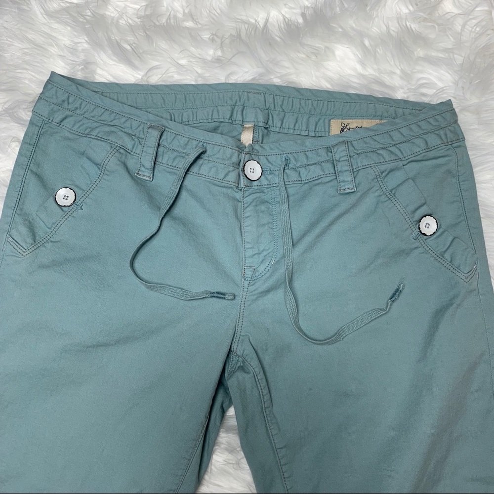 Gap Limited Edition Blue Crop pants SZ 8/29